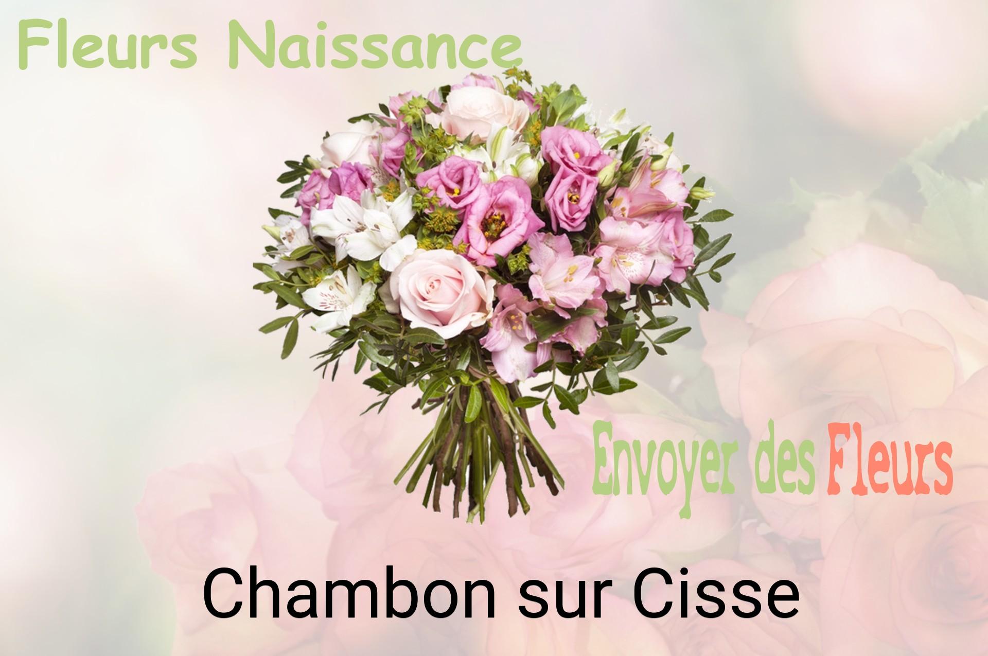 Bouquet de fleurs de naissance livré à Chambon-sur-Cisse