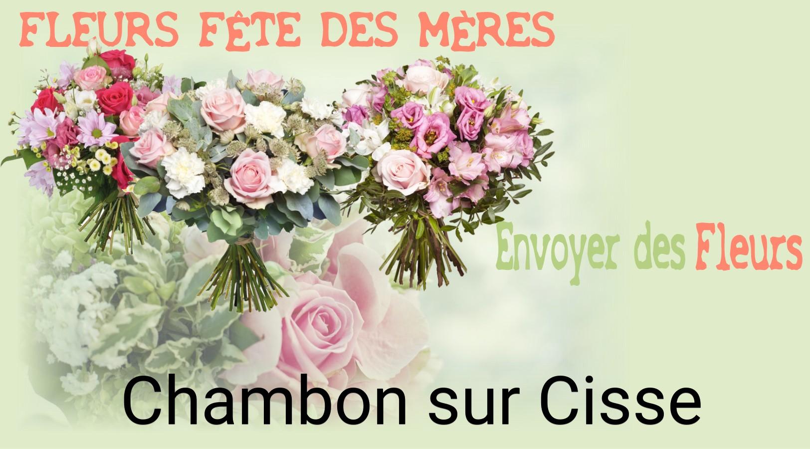Bouquet de Fête des Mères livré à Chambon-sur-Cisse
